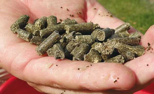 Carp Servis Vaclavik pelety amur