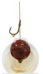 Carp Servis Vaclavik Aminokomplex DIP