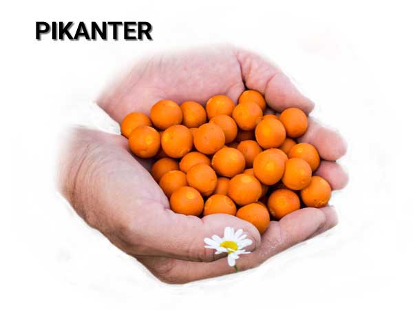 Carp Servis Vaclavik Boilies Magic - pikanter