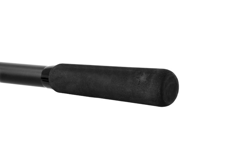DELPHIN Prut Partisan 300cm 100g