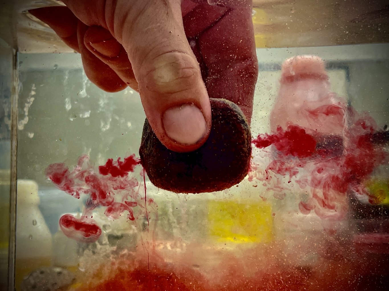 LK BAITS Nutrigo Predator 500g 45mm