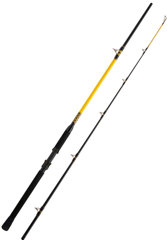WFT Prut Never Crack Catfish Boat LTC 300cm 250-1000g 2-díl