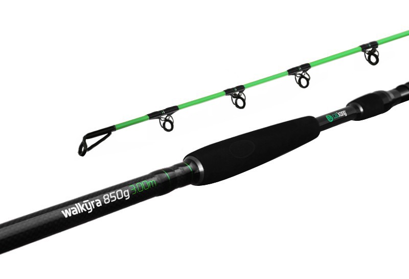 DELPHIN Prut WALKYRA 300cm 850g 2-díl