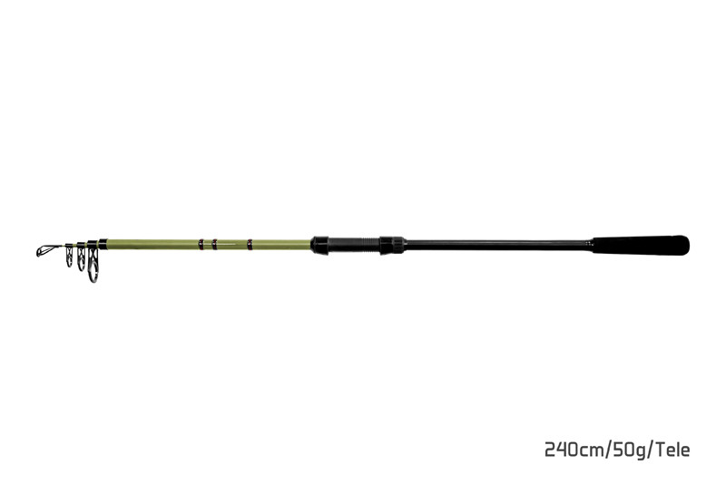 DELPHIN Prut Partisan 240cm 50g