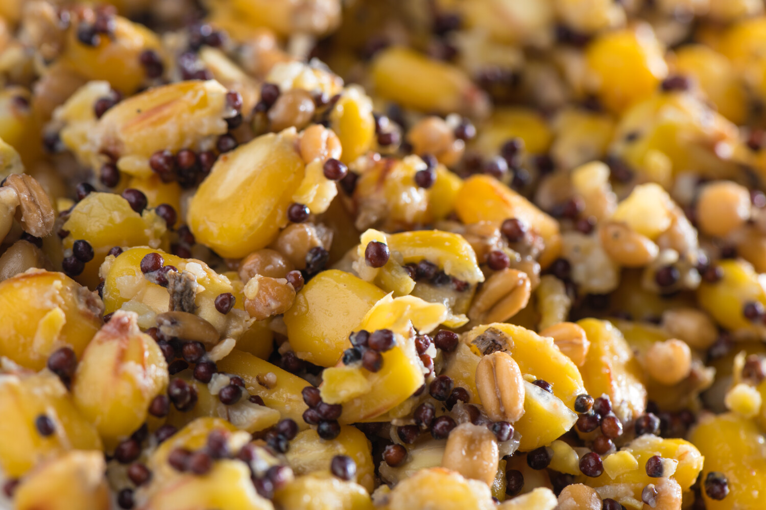 MIVARDI Partikl Mix 1kg