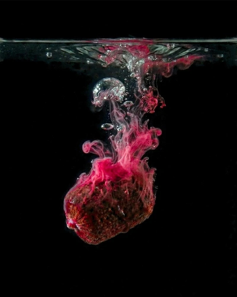 TB BAITS Smoke Liquid Orient Shrimp 100ml