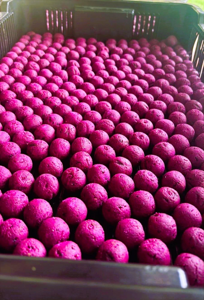 BLACKOUT BAITS Boilies Zkvašená švestka 1kg 24mm