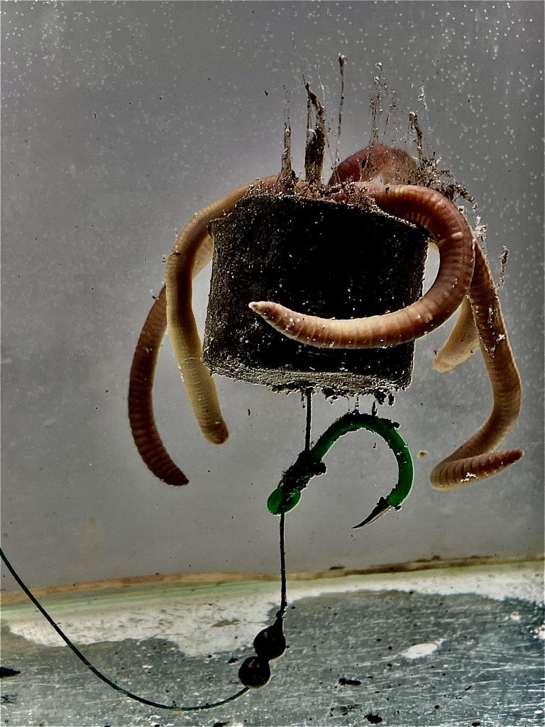 LK BAITS Pelety v dipu na sumce POP-UP SUMEC SPECIAL 160g 38mm 