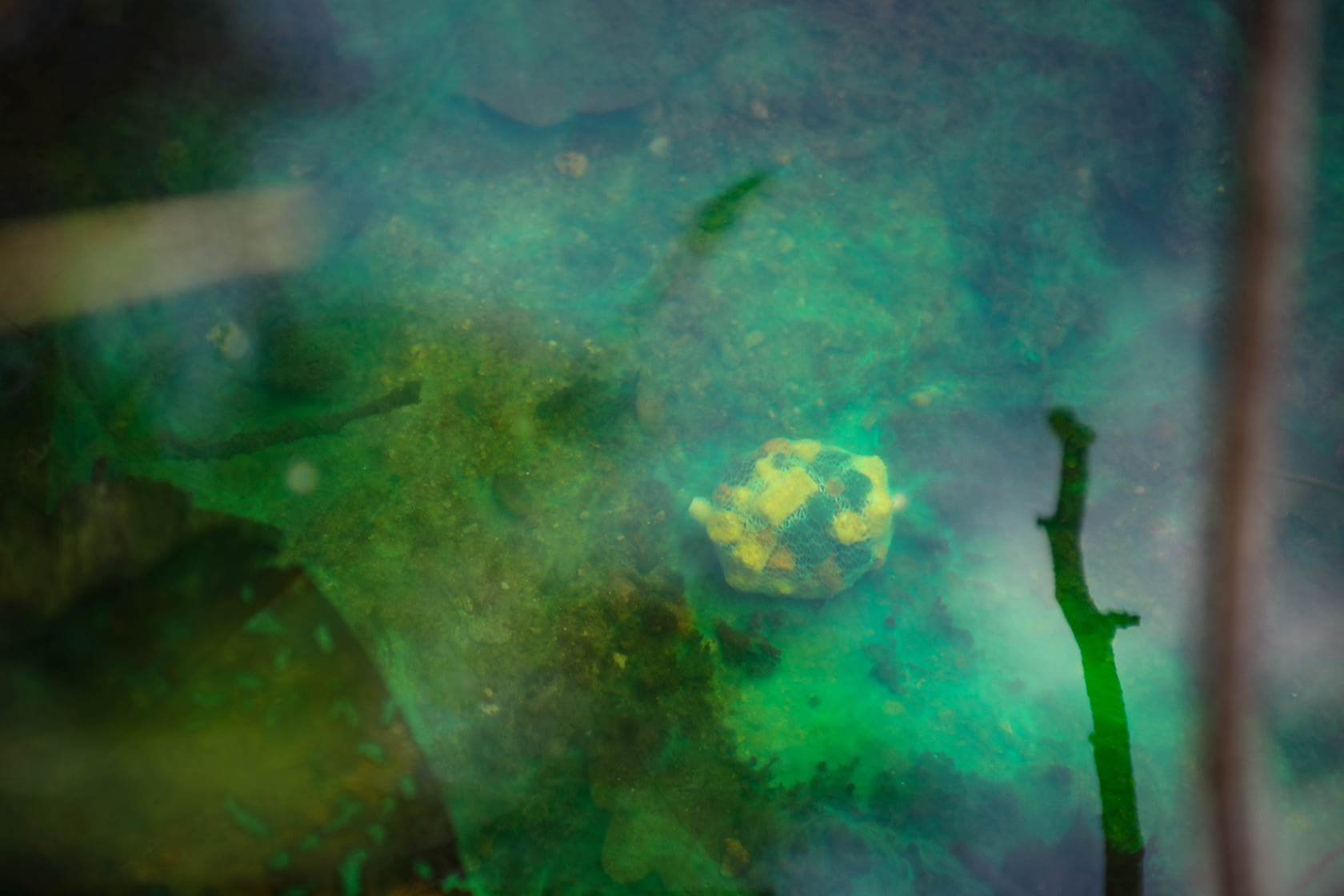 NIKL LUM-X YELLOW Liquid Glow Corn 115ml