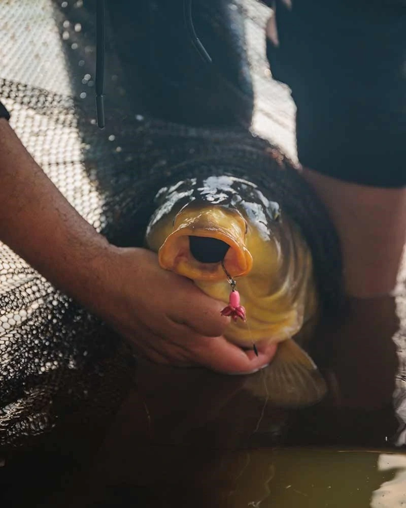 FOX Návazce Carp Ready Rigs Fluoro D-Rig 3ks #6