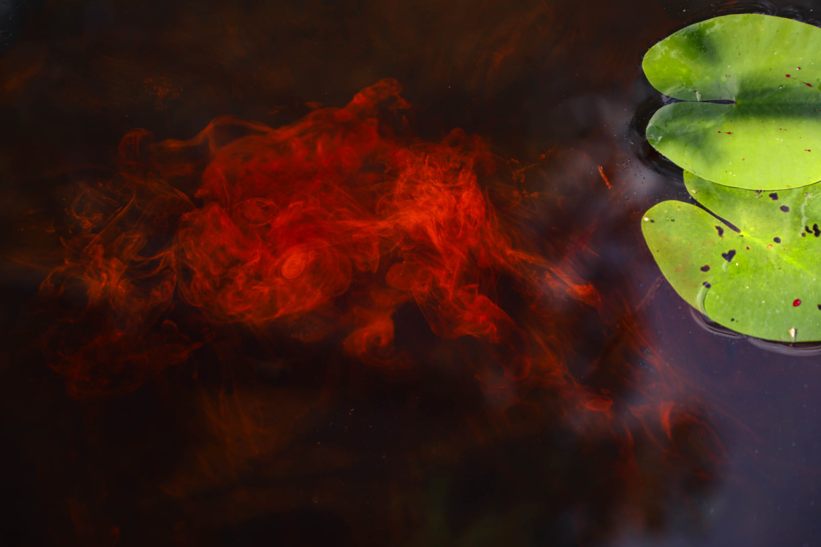 NIKL LUM-X RED Liquid Glow Gigantica 115ml