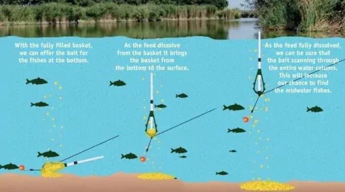 CRALUSSO Pop-Up Feeder Basket Adjustable