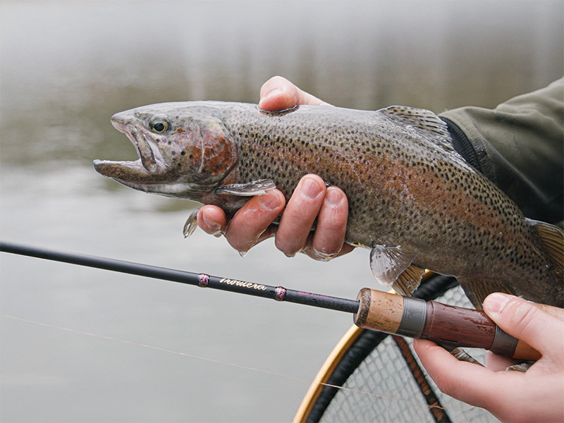 DELPHIN Prut TROUTERA SoftLURE 180cm 6g 2-díl