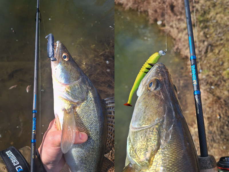 DELPHIN Prut ZANDIT 230cm 25g 2-díl