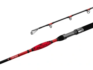 DELPHIN Prut Danger Catfish 2,85 m 350 g